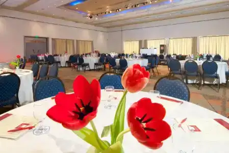 Leonardo Club Eilat - Все включено - 40