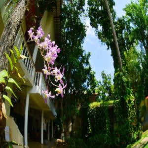 Sea Breeze Guest house - 9