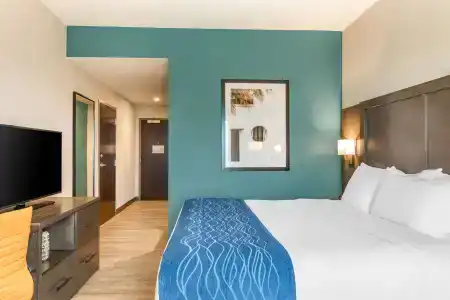 Comfort Inn & Suites Miami International Airport - 3