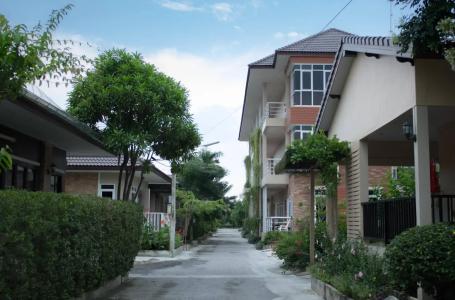 Yenjit - 10