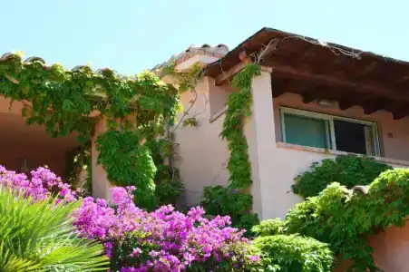 Residence Fenicia - 91