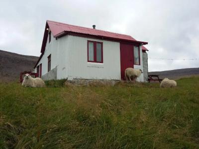 Hænuvík Cottages - 40