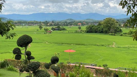 Nan Seasons Boutique Resort - 179