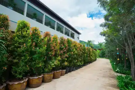 O Seven Khaoyai - 20