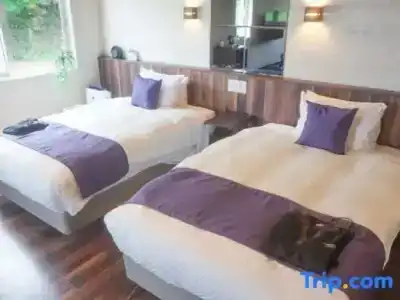 Livemax Resort Izu Shimoda - 77