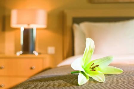 Movenpick Suriwongse Chiang Mai - 61