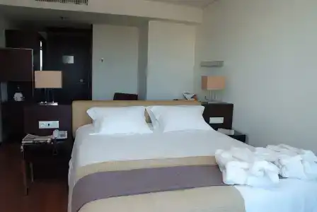 Axis Porto Business & Spa - 2