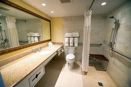 Holiday Inn Regency, An Ihg - 73