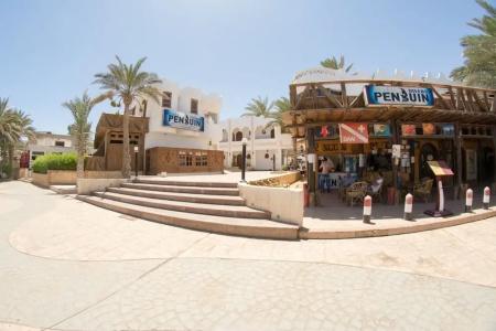 Penguin Village Dahab - 18