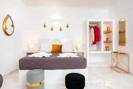 Petri Suites - 127