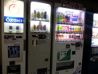 Chuo Bridge - 9