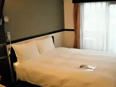 Toyoko Inn - 29