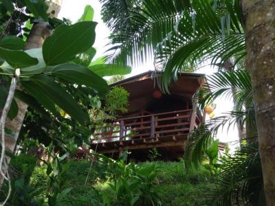 A Peace In Paradise - 37