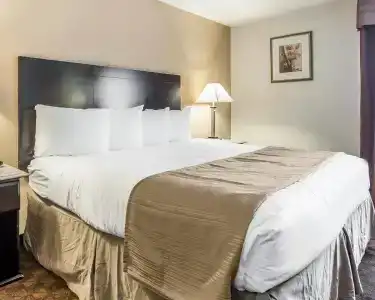 Quality Inn & Suites Coliseum - 25