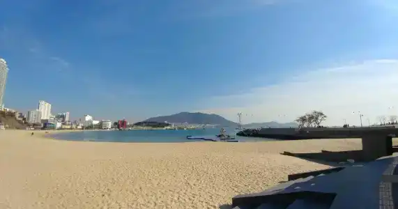 Brown-Dot Songdo - 13