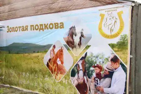 Золотая подкова - 13