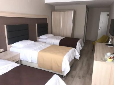 Samsun Osmanlı Otel - 3