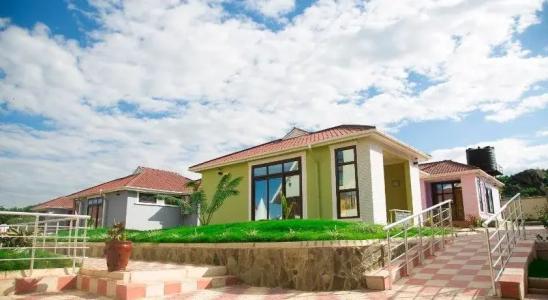 Samanene - 2