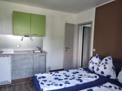 Pension Waldesruh - 74