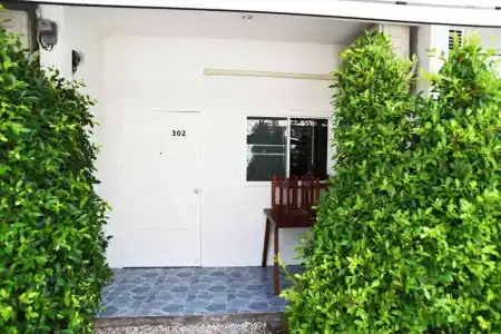 Kallapangha - 38
