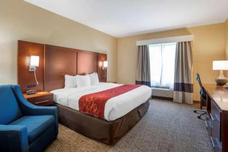 Comfort Suites North - 55