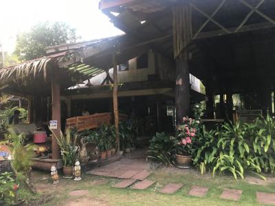 Koh Neverland Beach - 13