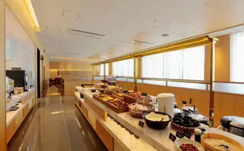 The Singulari & Skyspa At Universal Studios Japan - 9
