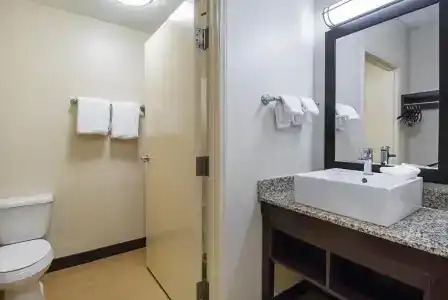 Red Roof Inn Plus + Phoenix West - 50