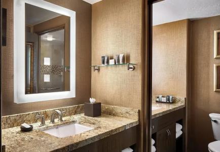 JW Marriott Camelback Inn & Spa - 68