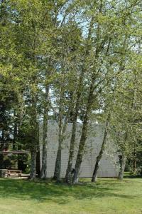 Park and Cabins - 136
