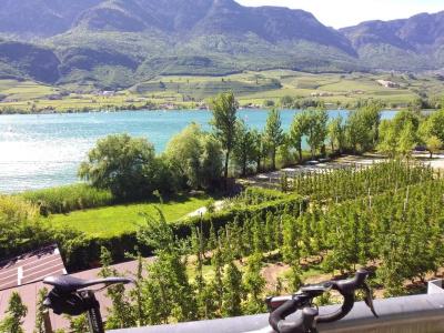 Cavallino D'Oro Bed&Breakfast - 23
