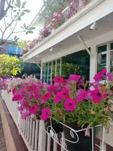 Paradise Udonthani - 25