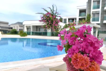 Royal Palm Residence - 6