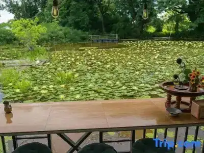 Saikaew Resort - 22
