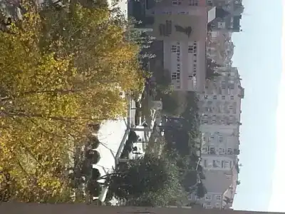 Cetinkaya - 5