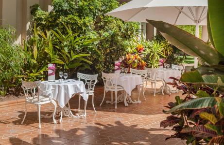 Barceló Corralejo Bay - Только для взрослых - 32