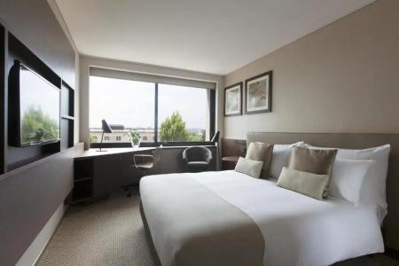 Crowne Plaza Geneva, An Ihg - 81