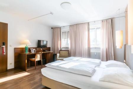 AltstadtGrauer Wolf - 36