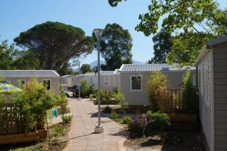 Camping International - 42