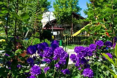 Trakia Garden - 18