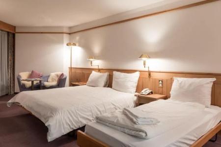 T3 AlpenFlims - 7