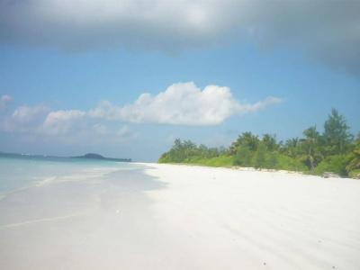 Amitie Chalets Praslin - 10