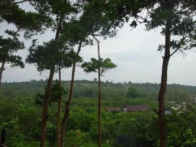 Coconutbeach Bungalows - 16