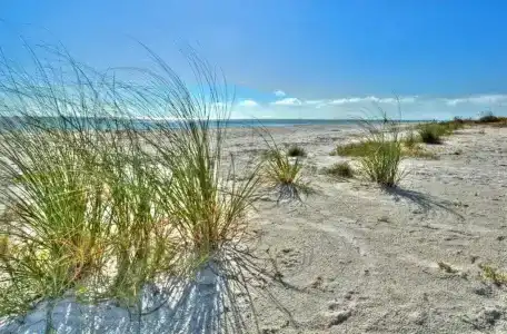 Seahorse Cottages - Adults Only - 6