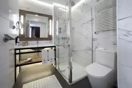Petit Palace Arana Bilbao - 60