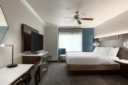 Holiday Inn Express & Suites Central - 56