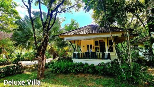 Baan Khaolak Beach Resort - Sha Plus - 223