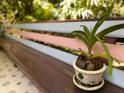 Warakorn Baansuan - 13