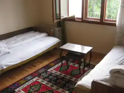 Guest house Pribojska Banja - 34