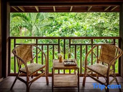 Paradise Island - 141